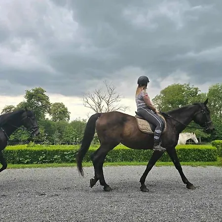 Chateau De Wallay - La Grande Ferme * Ohey